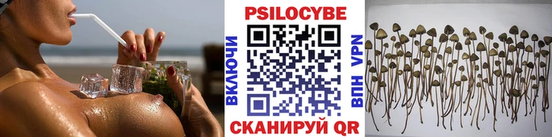 дарк нет официальный сайт  Свободный  Галлюциногенные грибы Magic Shrooms  купить закладку 